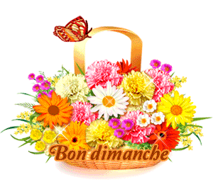 Gif animé Bon dimanche fleurs papillon